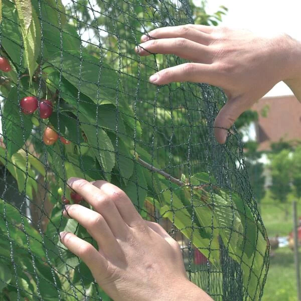 Vogelnet Beschermnet - Pronet 5 × 6 M 1 Vogelnet Beschermnet - Pronet 5 × 6 M