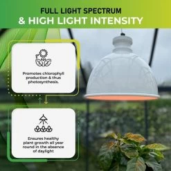 Groeilamp Led Florabooster 500 - 6,5W - Wit 9 Groeilamp Led Florabooster 500 - 6,5W - Wit -Tuin Verzorging 1677504263 4 600