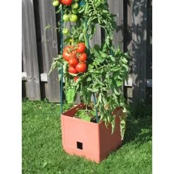 Plantentoren Maxitom Met Waterreservoir - Terracotta -Tuin Verzorging 1677510667 3 600