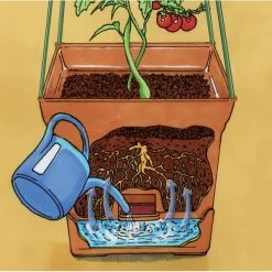 Plantentoren Maxitom Met Waterreservoir - Terracotta -Tuin Verzorging 1677510668 5 600