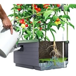 Kweekbak City Jungle Basic Met Klimframe -Tuin Verzorging 1677572003 2 600