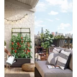 Kweekbak City Jungle Basic Met Klimframe -Tuin Verzorging 1677572004 4 600