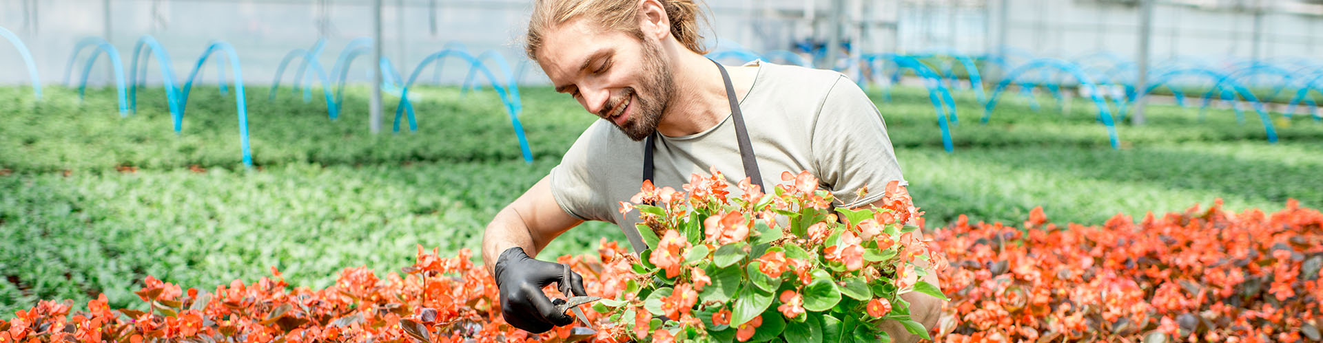 Tuin Verzorging -Tuin Verzorging Produkte Headerbild Kultursysteme