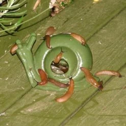 ESSCHERT DESIGN Slakkenval Keramiek - Groen -Tuin Verzorging actie super slakkenval 1484052737 1 600