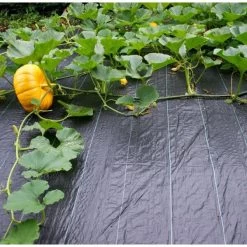 Gronddoek - Onkruidwerend 2 M × 5 M -Tuin Verzorging antionkruiddoek 2 x 5 m 1511788904 1 600