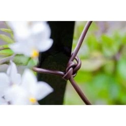 Bindbuis Elastisch Ø 2,5 Mm - Bruin 40 M -Tuin Verzorging bindbuis bruin 135 g 1484066131 2 600