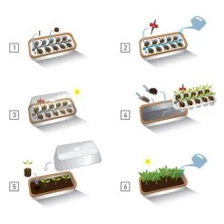 Binnenkas BoQube Plus Romberg - 41 × 17 × 23 Cm -Tuin Verzorging binnenkas boqube 41 x 17 x 23 cm 1656509792 5 600