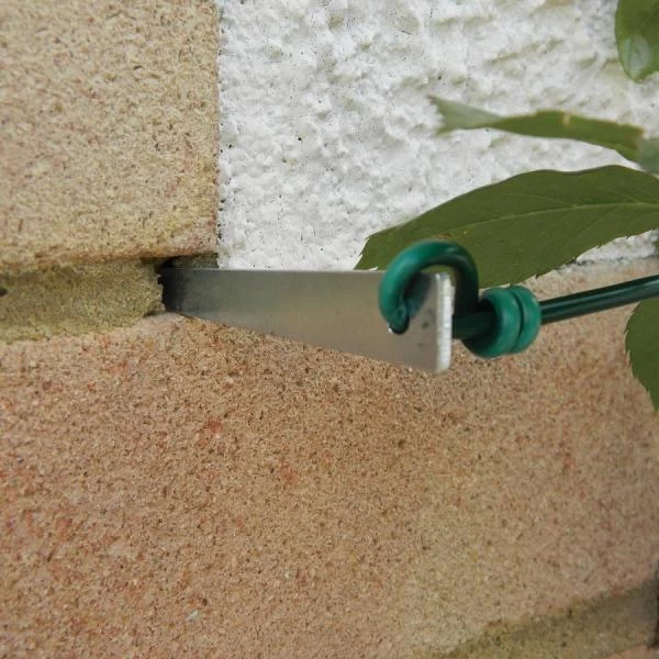 Druivengeleiders - Set Van 4 Stuks 1 Druivengeleiders - Set Van 4 Stuks