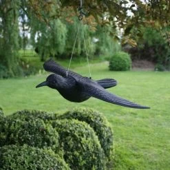 Duivenverjager Vliegende Raaf -Tuin Verzorging duivenverjager vliegende kraai 1495118460 1 600