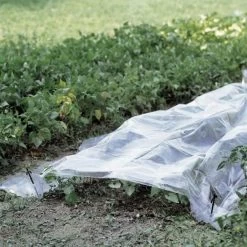 Folie Voor Kweektunnel - 2 × 10 M