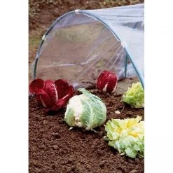 Folie Voor Kweektunnel - 2 × 5 M