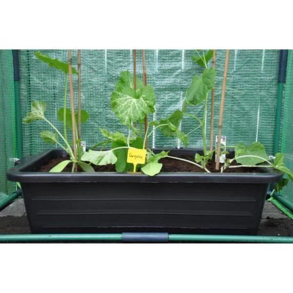 Kweekbak 40 Liter 2 Kweekbak 40 Liter - Afbeelding 2