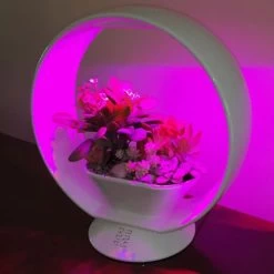 Mini Tuin Jardin Secret Met Verlichting En Bluetooth - Rond -Tuin Verzorging jardin secret met bluetooth rond 1602065218 3 600