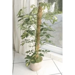 Kokos Kamerplantensteun - Plantstok Ø45 Mm × 1,2 M -Tuin Verzorging kokos plantstok 45 mm x 12 m 1622716785 4 600