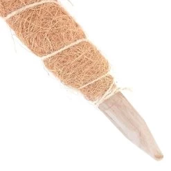 Kokos Kamerplantensteun - Plantstok Ø 45 Mm × 1,5 M -Tuin Verzorging kokos plantstok 45 mm x 15 m 1622714996 3 600