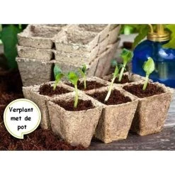 Vezelpotjes Vierkant Biologisch Afbreekbaar - 6 × 6 Cm - Set Van 24 Stuks -Tuin Verzorging kokos potjes vierkant 6 cm 1519297688 1 600