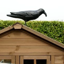 Tuin Verzorging -Tuin Verzorging kraai met geluid 1523289337 2 600