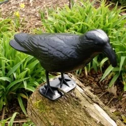 Duivenverjager Kraai Roepend -Tuin Verzorging kraai met geluid 1523289337 3 600