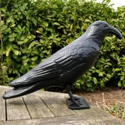 Duivenverjager Kraai Roepend -Tuin Verzorging kraai met geluid 1523289337 4 600