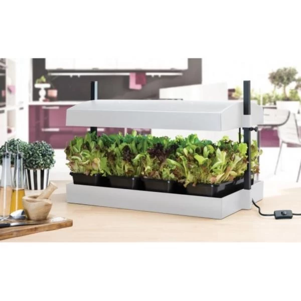 Kweekbak Met Groeilicht En Autobewatering - Wit 2 Kweekbak Met Groeilicht En Autobewatering - Wit - Afbeelding 2