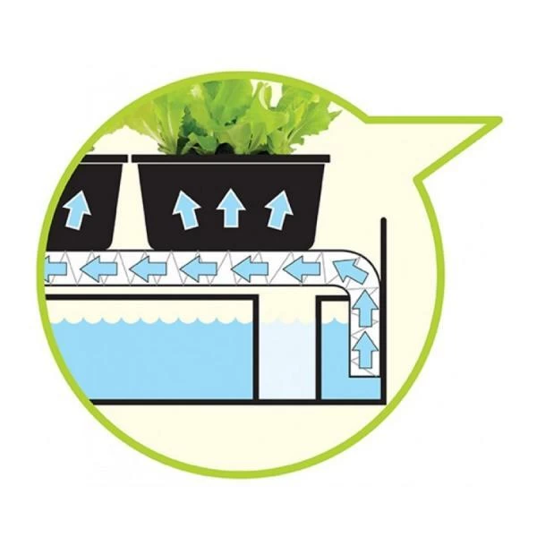 Kweekbak Met Groeilicht En Autobewatering - Wit 3 Kweekbak Met Groeilicht En Autobewatering - Wit - Afbeelding 3