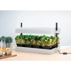 Kweekbak Met Groeilicht En Autobewatering - Wit