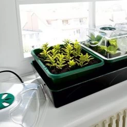 Tuin Verzorging -Tuin Verzorging kweekset elektisch en thermostaat 1674134965 1 600