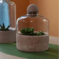 ESSCHERT DESIGN Kweekstolp Glas Op Betonbasis -Tuin Verzorging kweekstolp glas op betonbasis 1628768694 1 600