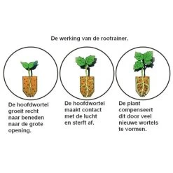Kweektray Rapid Roots - 32 Cellen -Tuin Verzorging kweektray rapid roots 32 cellen 1487680788 0 600