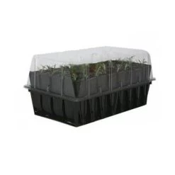 Kweektray Rapid Roots - 32 Cellen -Tuin Verzorging kweektray rapid roots 32 cellen 1521399839 2 600