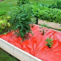 Rode Folie Voor Een Betere Plantengroei -Tuin Verzorging mulchfolie 1577621986 1 600