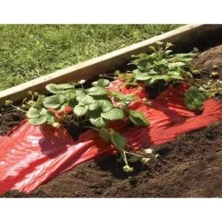 Rode Folie Voor Een Betere Plantengroei -Tuin Verzorging mulchfolie rood aardbeien en tomaten 1492072043 1 600