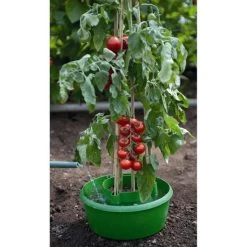 Plant- En Gietpot Groen - Set Van 3 Stuks -Tuin Verzorging plant en gietpot 1484054799 4 600