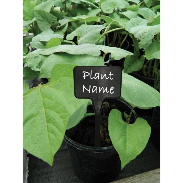 Plantenbordjes Zwart Kunststof - 14 Cm - Set Van 10 Stuks 2 Plantenbordjes Zwart Kunststof - 14 Cm - Set Van 10 Stuks - Afbeelding 2