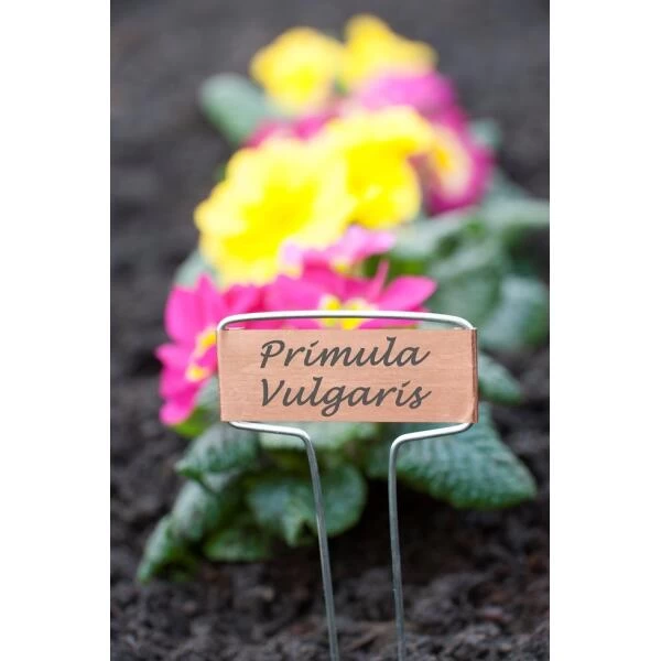 Plantenlabels Koperplaatjes - Set Van 5 Stuks 1 Plantenlabels Koperplaatjes - Set Van 5 Stuks