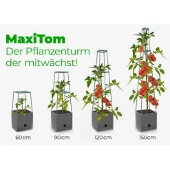 Plantentoren Maxitom Met Waterreservoir - Antraciet -Tuin Verzorging plantentoren maxitom antraciet 1677571236 4 600