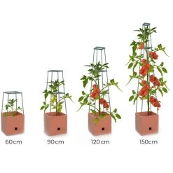 Plantentoren Maxitom Met Waterreservoir - Terracotta -Tuin Verzorging plantentoren maxitom terracotta 1680165024 1 600
