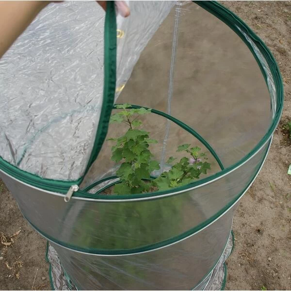 Pop-up Serre - Ø 70 × 110 Cm 2 Pop-up Serre - Ø 70 × 110 Cm - Afbeelding 2