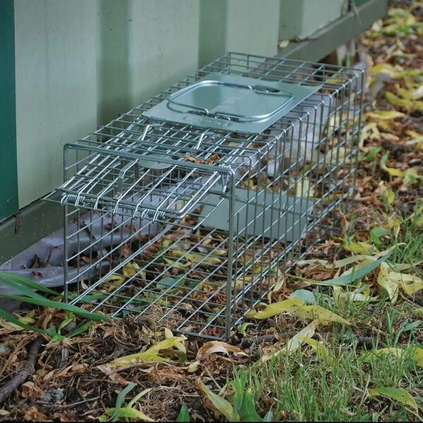 Professionele Vangkooi Voor Konijnen, Marters, Wilde Katten,...- Medium 2 Professionele Vangkooi Voor Konijnen, Marters, Wilde Katten,...- Medium - Afbeelding 2