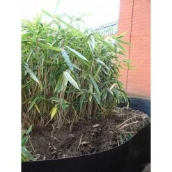 Rootblock Professionele Wortelwering 60 Cm Hoog - / Strekkende Meter -Tuin Verzorging rootblock professionele wortelwering 1552733360 5 600