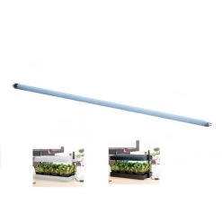 TL Lamp - 55 Cm Groeilicht - 24 Watt - Set Van 1 Stuks
