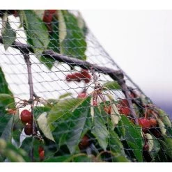 Tuinnet Grofmazig 2 M × 10 M