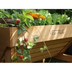 Vegtrug Verhoogde Kweektafel - 1 × 0,8 × 0,8 M -Tuin Verzorging vegtrug 1 m 1484054491 4 600