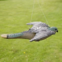Torenvalk Als Vogelschrik -Tuin Verzorging vogelverjager torenvalk 1492582163 3 600
