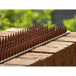 Afweerpinnen Strip Vogels, Katten,... - Bruin -Tuin Verzorging vogelwering met afweerpinnen 50 cm 1484056943 3 600