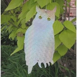 Weringsuilen Hologram - Set Van 6 Stuks